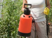 Pesticides & Explosive